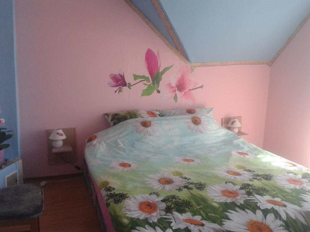 Dom Pod Roza Apartment Lesna Phòng bức ảnh